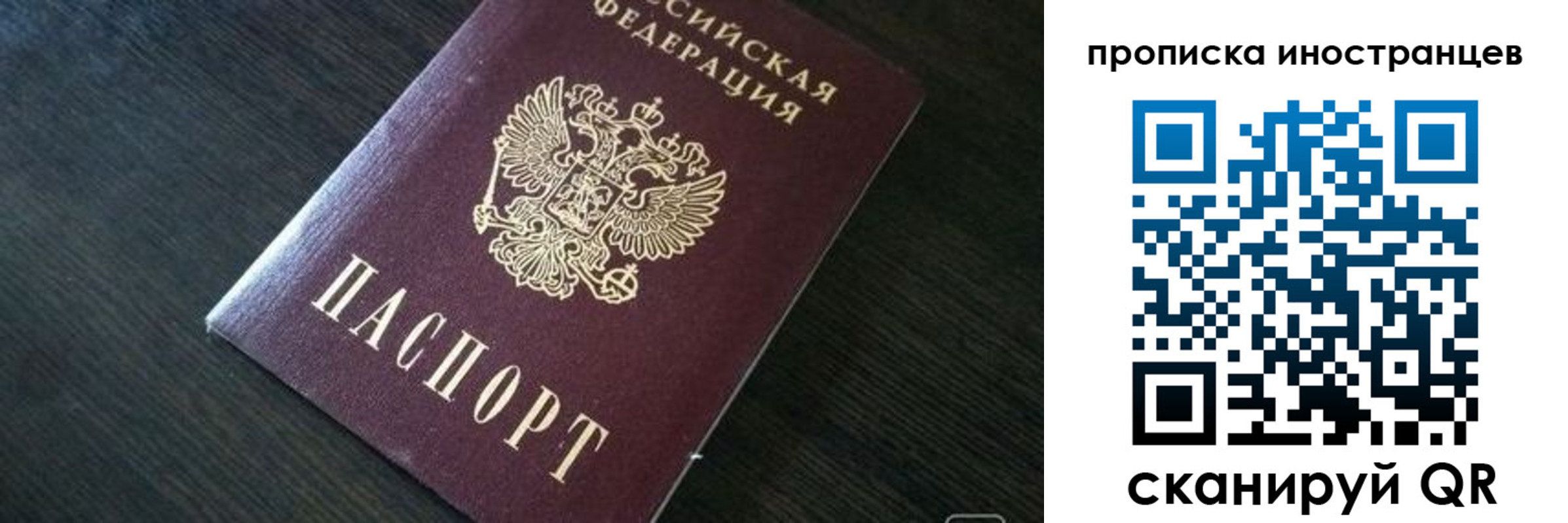 прописка 2025 в Камешково